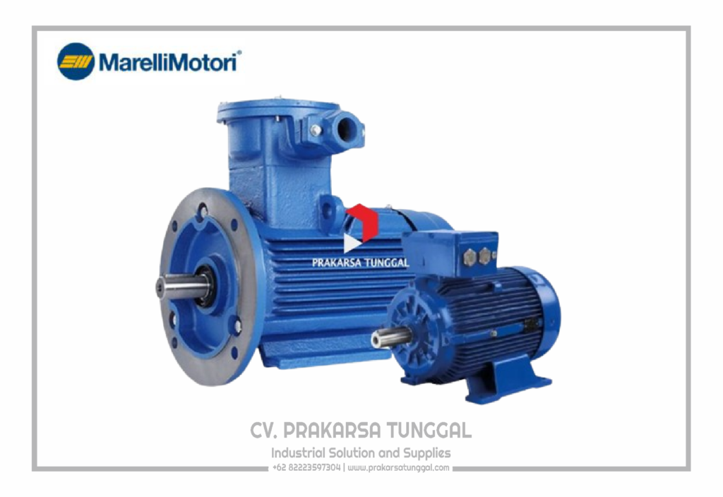 Marelli Exproof Motors