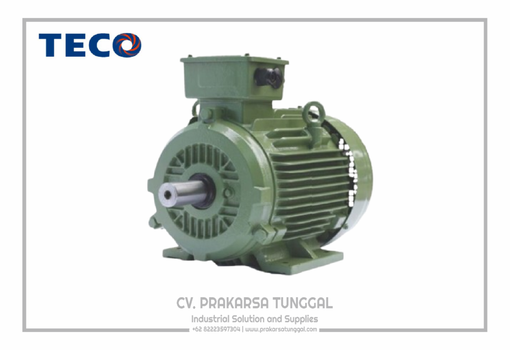 Teco Electric Motors