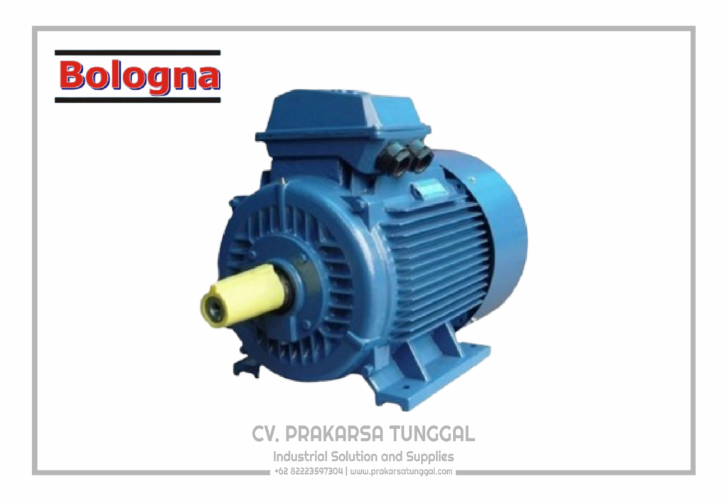 Bologna Electric Motor