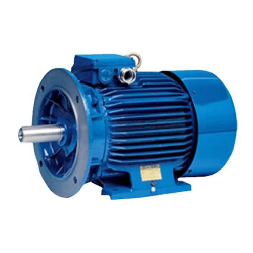 Elektrim Cantoni IE1 Motor